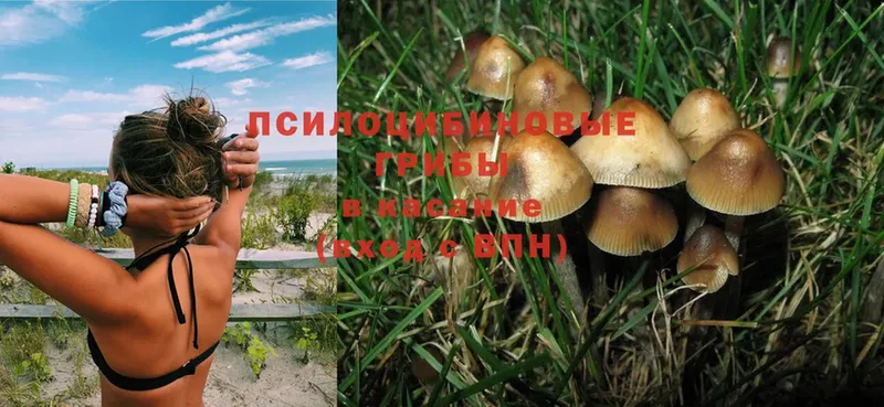 Галлюциногенные грибы Magic Shrooms  купить наркотики сайты  Анадырь 